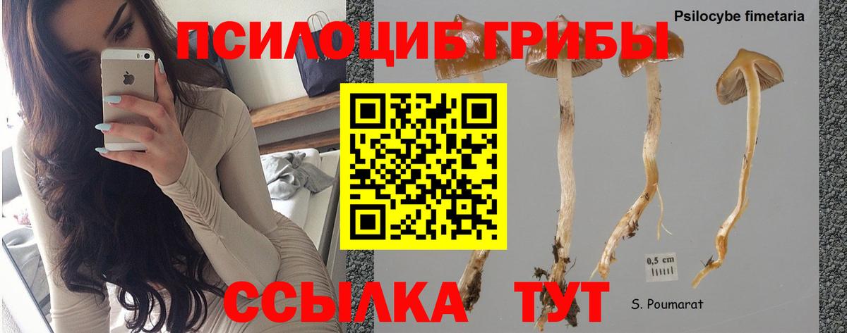 магазин    Псилоцибиновые грибы Cubensis  Вход с VPN  Кировск 